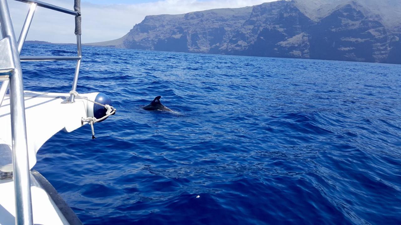 Top View Acantilados De Los Gigantes Acantilado de los Gigantes Εξωτερικό φωτογραφία