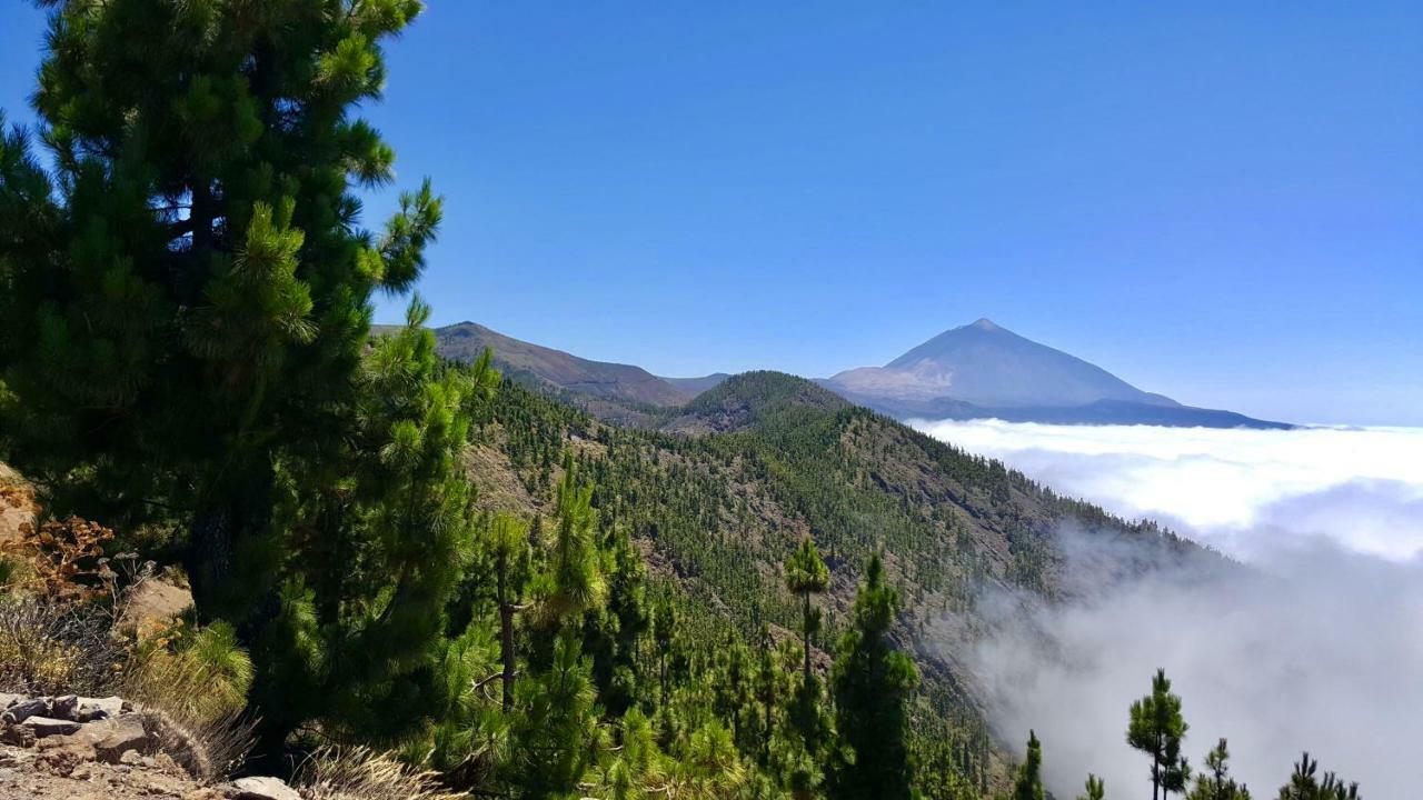 Top View Acantilados De Los Gigantes Acantilado de los Gigantes Εξωτερικό φωτογραφία