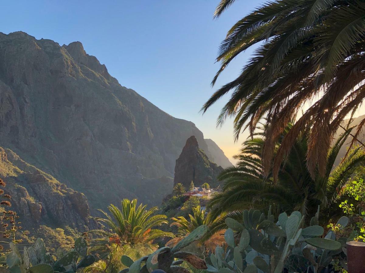 Top View Acantilados De Los Gigantes Acantilado de los Gigantes Εξωτερικό φωτογραφία
